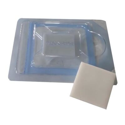 Dura Substitute Non Sutured Tissue Regeneration