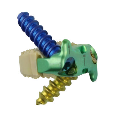 comprare Sterilizzazione Gabbia a Profilo Zero con 2 Viti Gabbia Cervicale Anteriore Stand Alone CE Chirurgia Spinale online manufacture