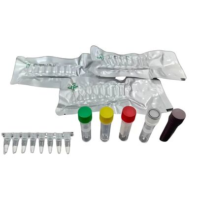 comprare Kit di rilevamento di acidi nucleici per la fluorescenza isotermica del virus ASF in 20 minuti, kit di rilevamento rapido e accurato online manufacture