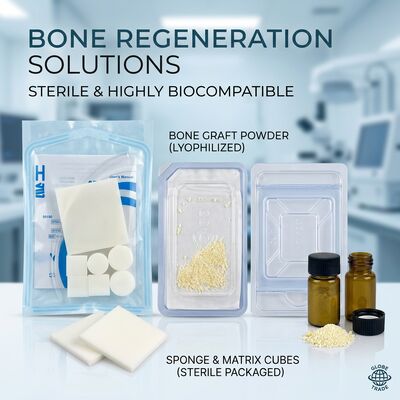 Αγορά Υψηλής Ασφάλειας Υπεκατάστατο ράμματος Serosa Dura χοίρων - έτοιμα βελονάκια Dura online manufacture